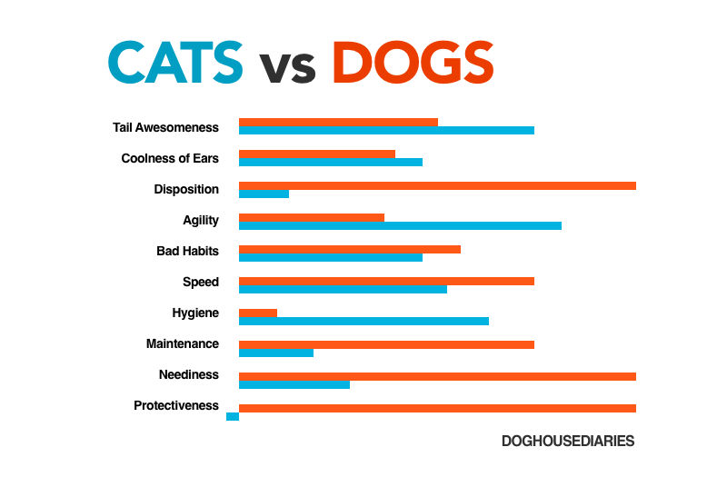 The Pros and Cons of Cats and Dogs