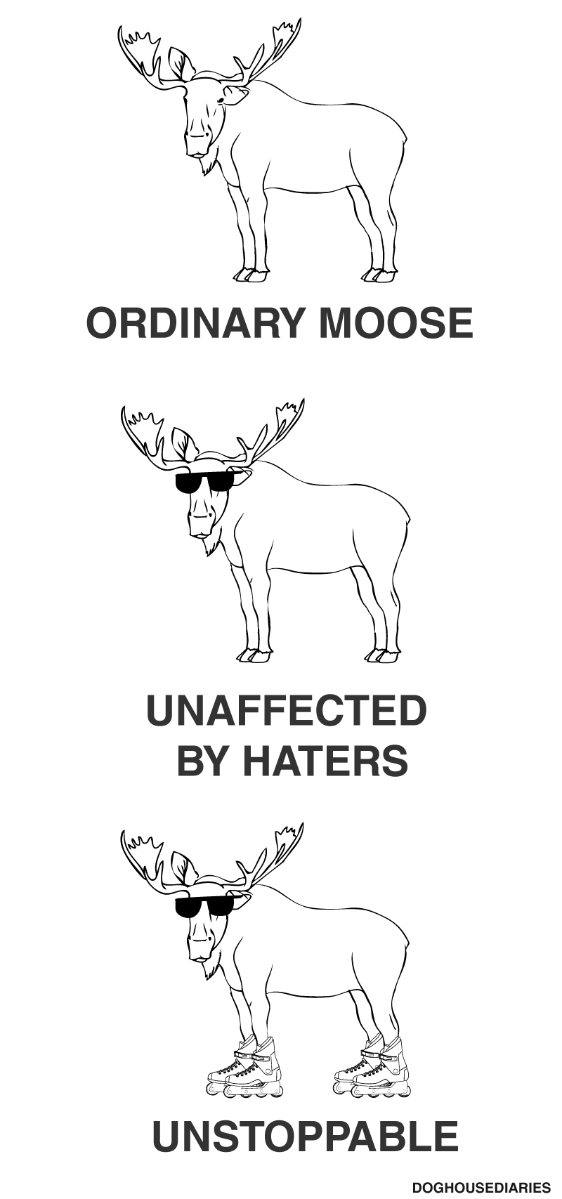 Ordinary Moose